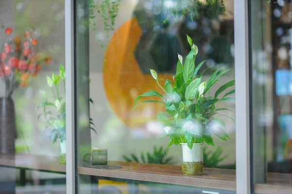 Les échelles en aluminium : robustesse et polyvalence essentielles